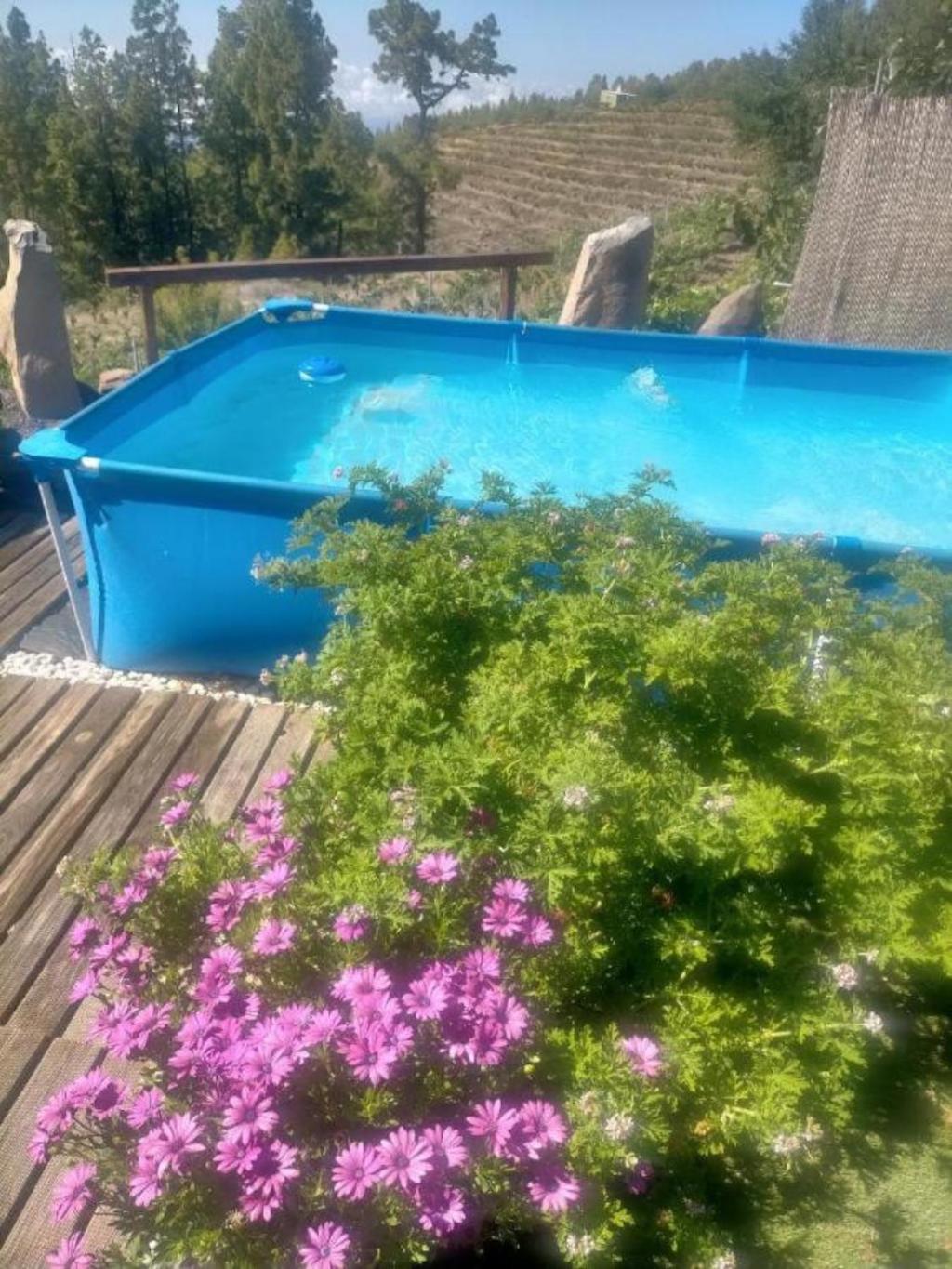 Media Pipa Villa Puntagorda Exterior foto